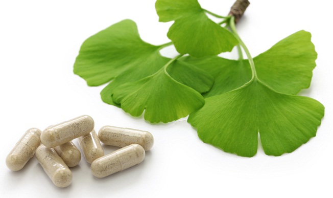 Ginkgo biloba