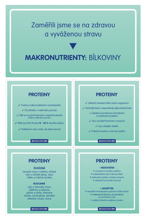 bílkoviny