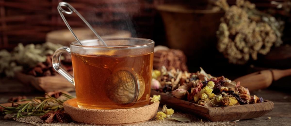 síla echinacey, šípku či rakytníku