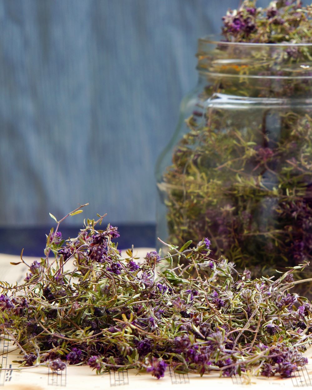 mateřídouška sušená