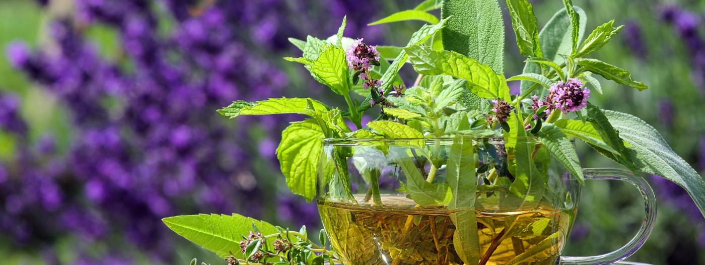 Příroda uzdraví každého