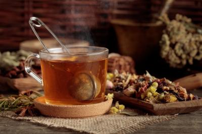 síla echinacey, šípku či rakytníku