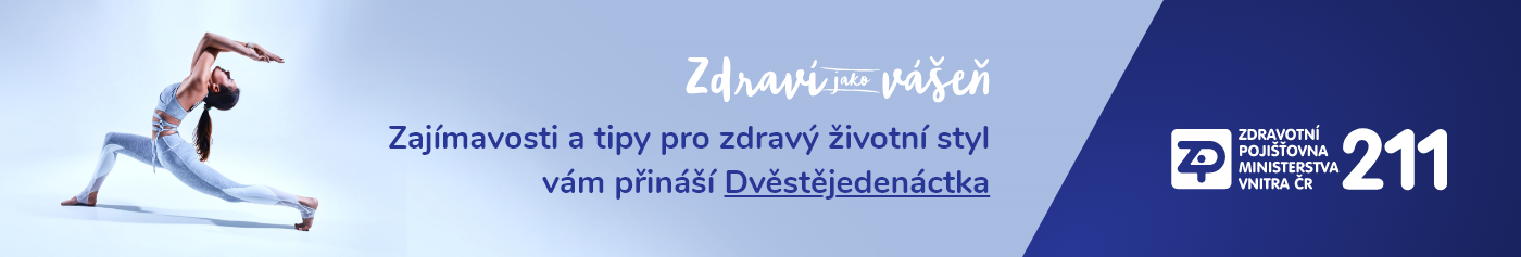 banner zpmv